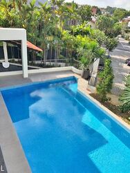 Shamrock Park (D10), Detached #458593261